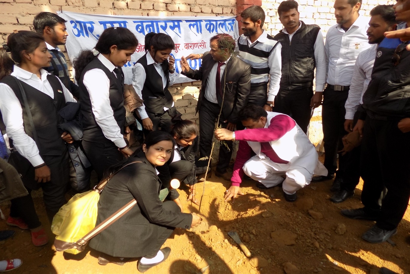 Plantation Activity