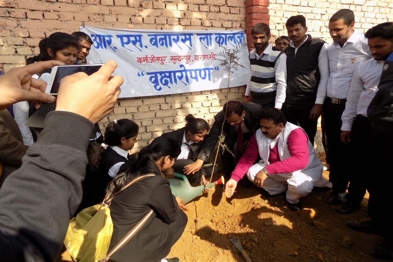 Plantation Activity