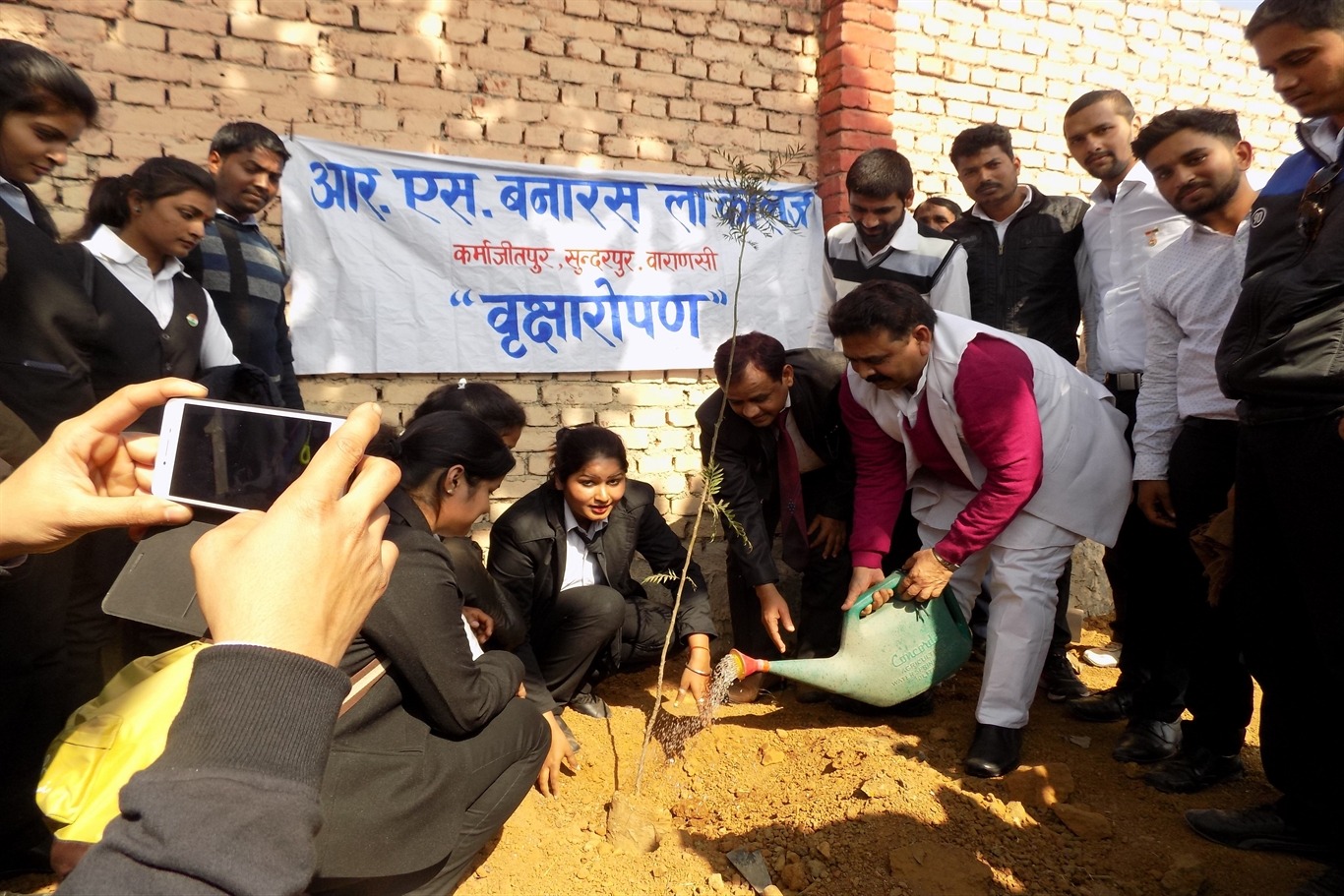 Plantation Activity