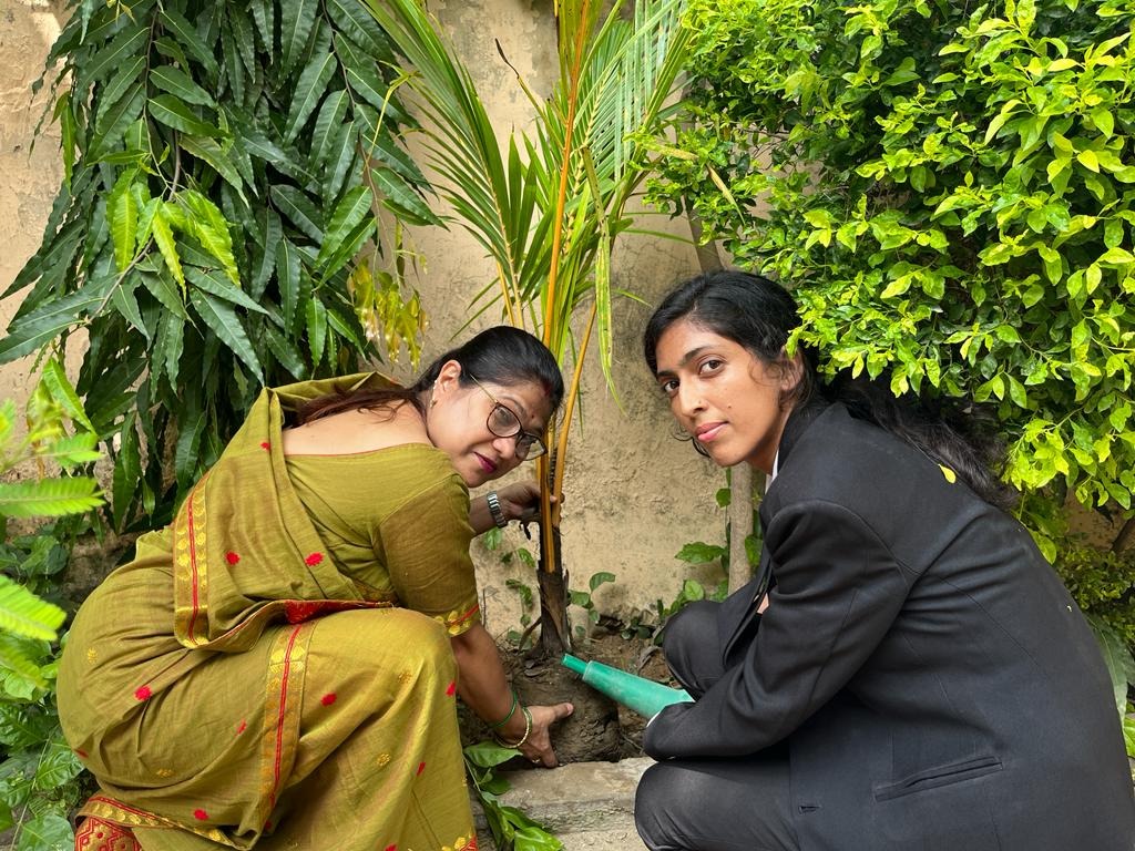 Plantation Activity