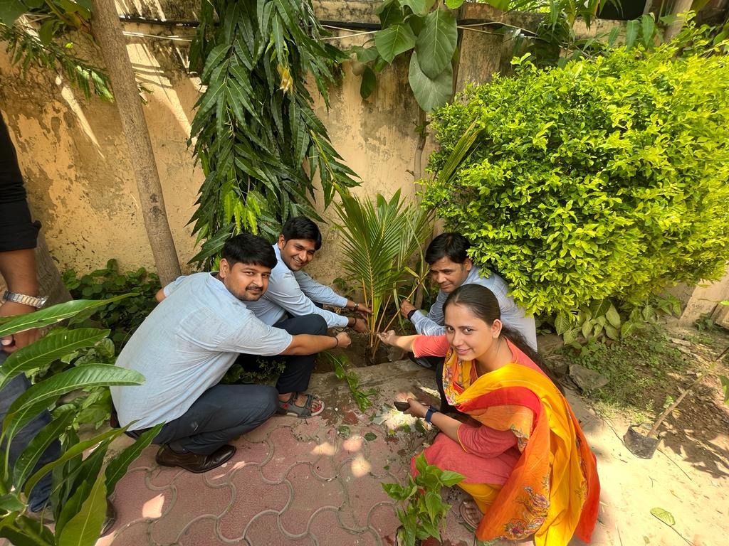 Plantation Activity